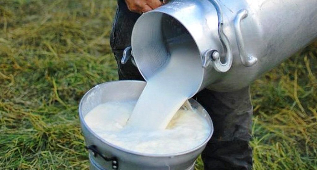 Ganaderos plantean soluciones al Gobierno ante caída en el consumo de leche