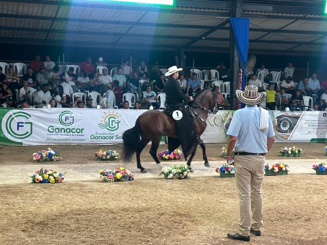 Emociones en Feria Equina de Los Potrillos