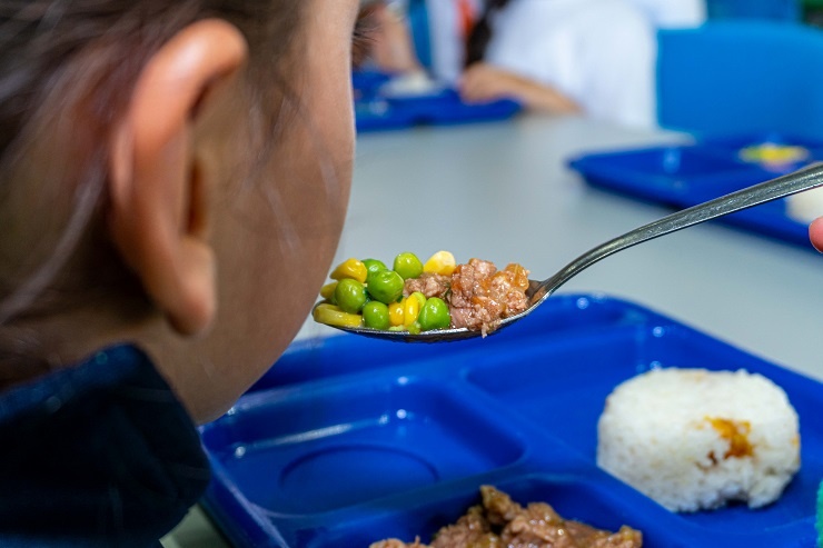 Procuraduría pide mayores controles a proveedores de alimentos del PAE