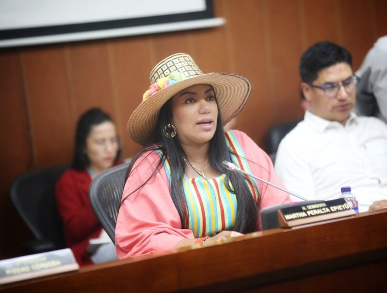 Presidenta de la Comisión Séptima del Senado propone construcción de ponencia alternativa