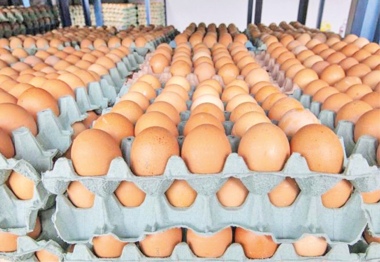Huevos colombianos llegan a Cuba