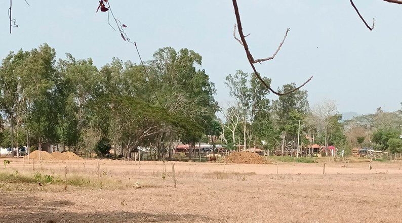 Indígenas de Palmito le piden a Petro abstenerse a entregar tierras