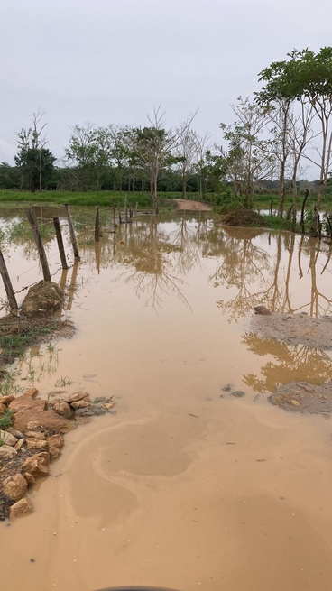 Sin soluciones continúan los habitantes de la vereda La Fortuna en Planeta Rica