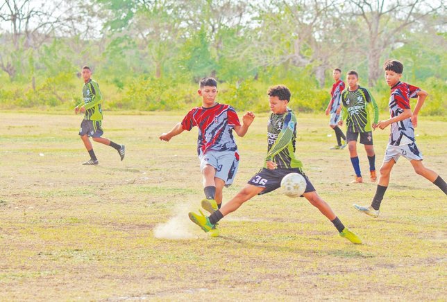 Rueda el balón: primer Torneo Municipal