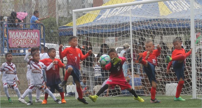 Se perfilan los que tienen madera para ser campeones