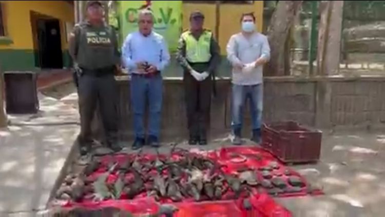 Incendio presuntamente premeditado en Montería acabo con la vida de varios animales