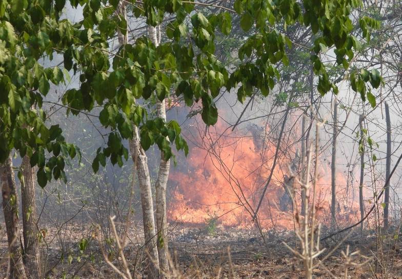 Infierno en el paraíso: el fuego no le daba tregua a la reserva Coraza
