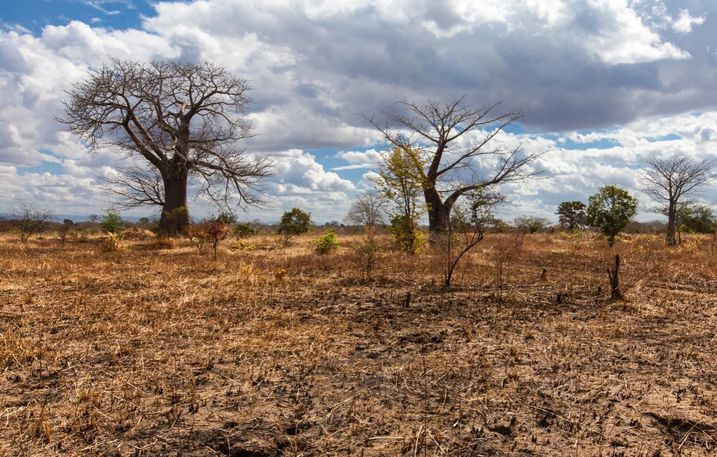 Proponen que se declare la emergencia económica por El Niño