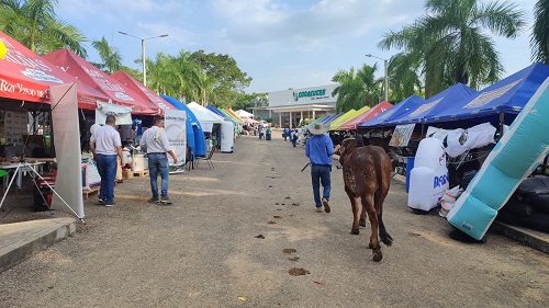 Se viene la Feria Agropecuaria