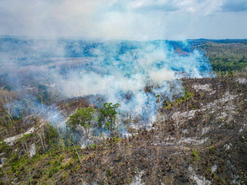 Evalúan daños tras extinción del incendio en la reserva Coraza