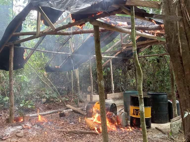 Destruyen dos laboratorios de coca en San José de Uré