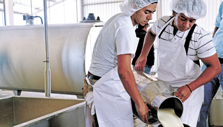 Así se mueve la actividad lechera en Sucre y Córdoba