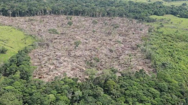 La naturaleza en Colombia es amenaza por la deforestación