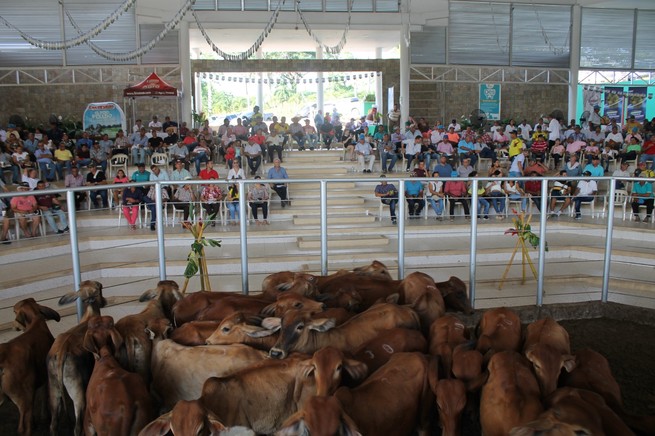 Bajó comercialización de ganado en el primer trimestre
