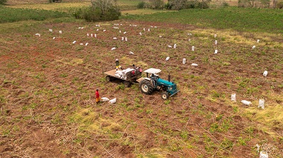 Caso cerrado: deben hacer extinción de Las Palmeras, símbolo de testaferrato