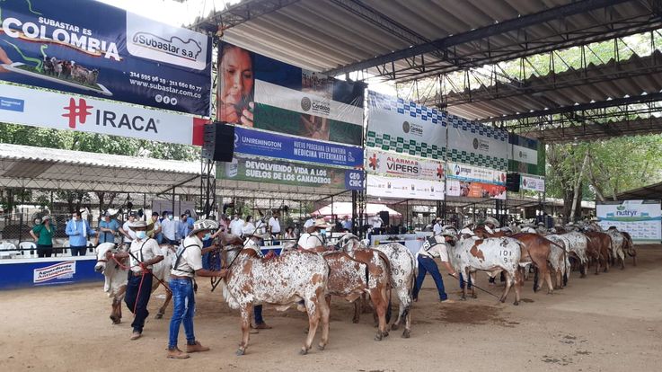 Alístese para versión 62 de la Feria Nacional de la Ganadería
