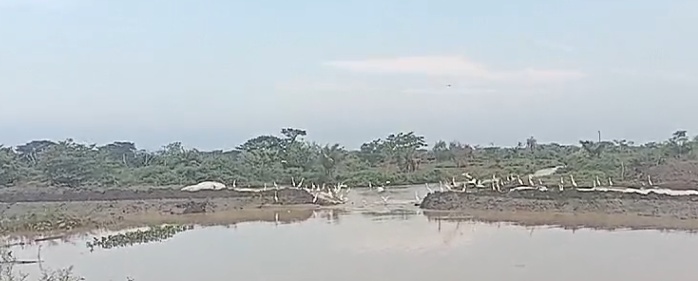 Trabajos lentos y ahora filtración de agua en Cara de Gato alerta a la comunidad