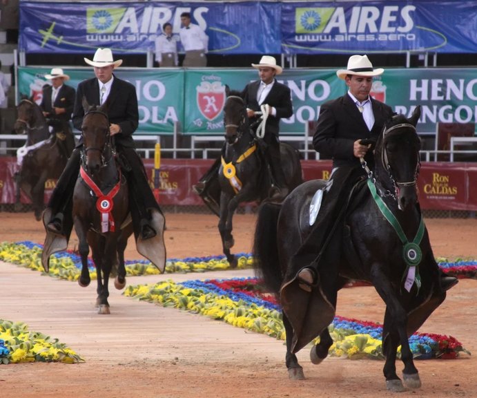 Proyecto en favor de los caballistas