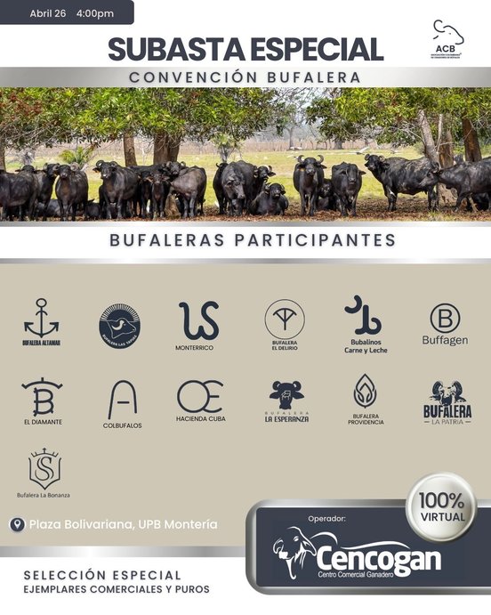 Comienza Convención Bufalera