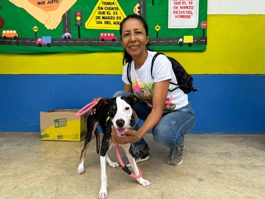 Jornada Gratuita de Esterilización para animales de calle y de población vulnerable de El Dorado y El Poblado
