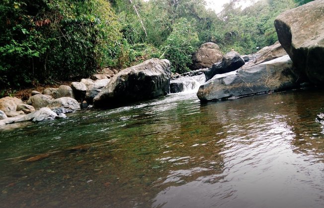 Extracción ilícita de oro persiste en el Parque Nacional Natural Farallones de Cali