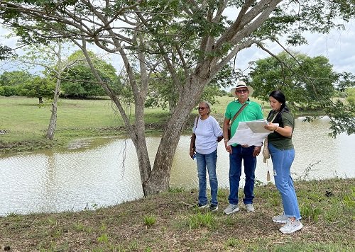 En su lanzamiento, Lagos del Palmar tuvo récords de ventas