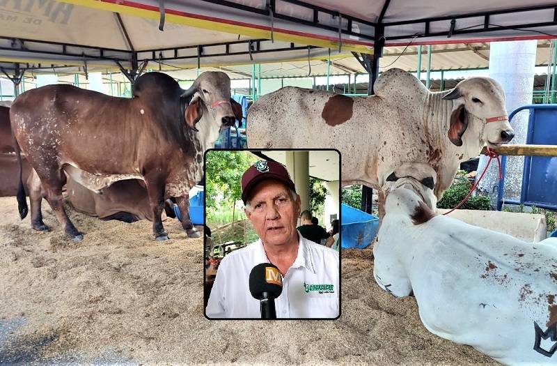 La feria generará beneficios económicos para Sincelejo