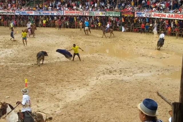 Prohibición de las corridas de toros y corralejas, a un paso de ser ley