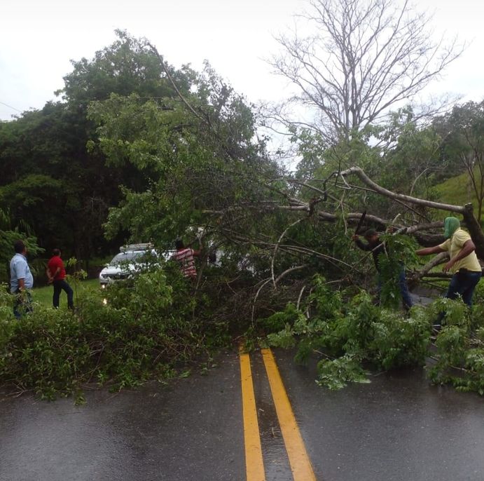 Vías obstaculizadas y clases suspendidas por lluvias