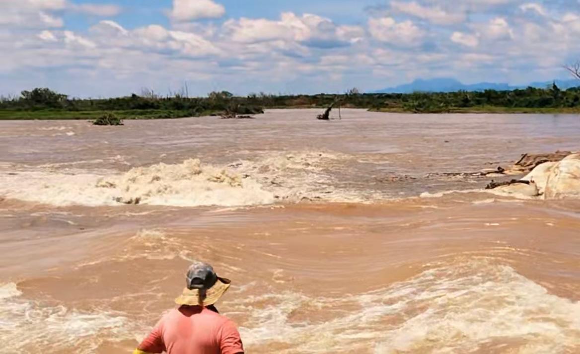 Ganaderos de la Mojana lanzan SOS al Gobierno