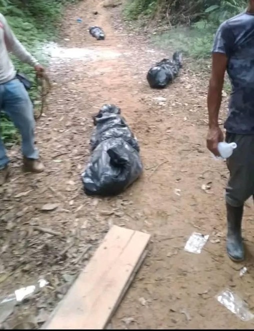 Dos cordobeses cayeron en combates