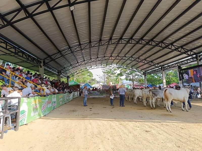 Eventos deportivos y agropecuarios movieron la economía de Sincelejo