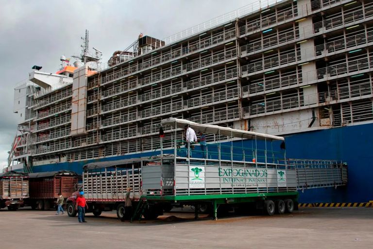 En el crecimiento del Agro hay algo que no cuadra