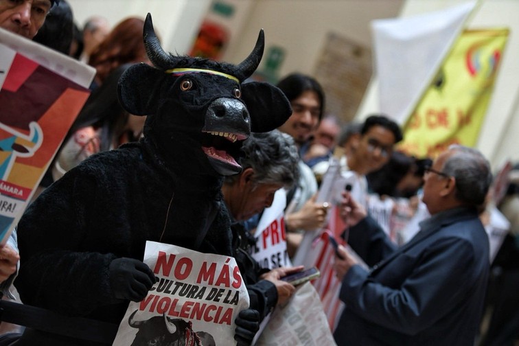 Congreso aprueba la prohibición de corridas de toros en Colombia