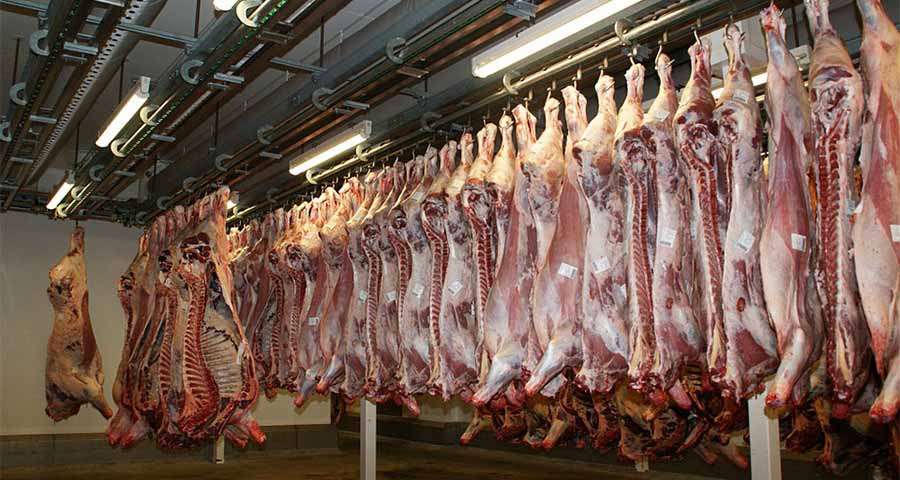 Histórico: Carne de Ciénaga de Oro a China