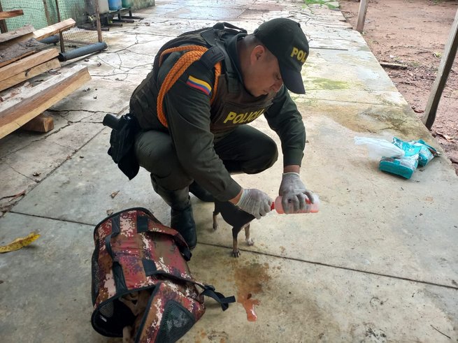 Rescatan cuatro perritos abandonados en una caja de cartón en el barrio Ranchería de Sahagún