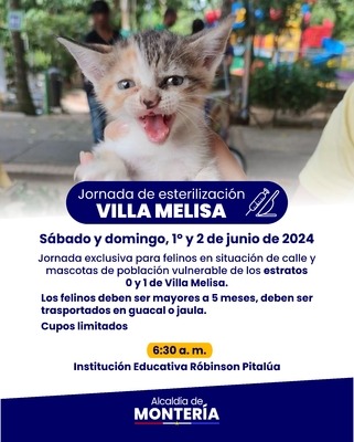 Jornada de esterilización de perros y gatos en el barrio Villa Melisa