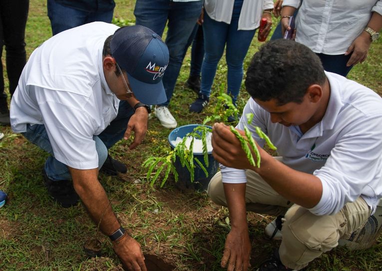 El Betancí renace con la siembra de mil 100 árboles