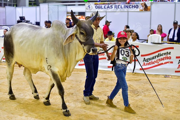 Regresa Agroexpo Caribe