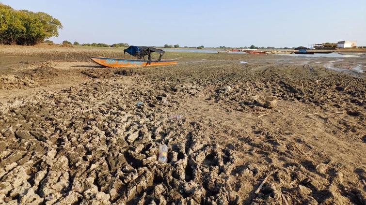 Restauración y resiliencia ante la desertificación y la sequía