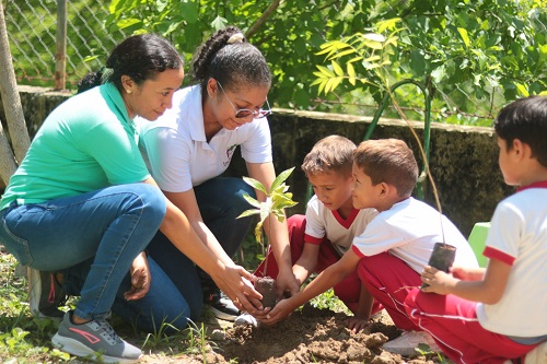 Plantaron árboles en el Día del Medio Ambiente