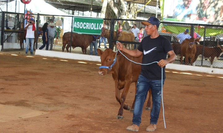 El Coliseo de Ferias se viste de tradición
