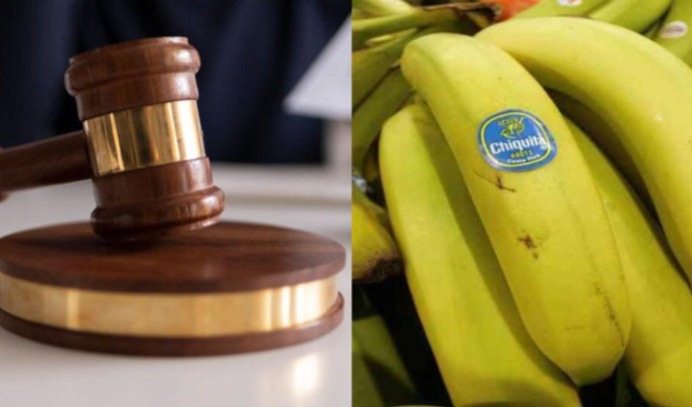 Hallan responsable a la bananera Chiquita Brands por financiar el paramilitarismo en Colombia