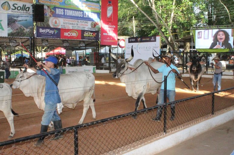 La Feria cautiva con exhibiciones