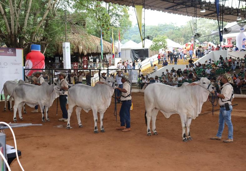 En Córdoba 'Reina' la ganadería
