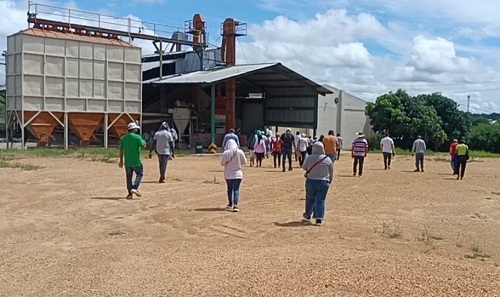 Arroceros protestaron porque los estafaron