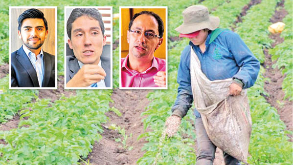 En la economía las cifras no cuadran, ¿a quién le creemos?