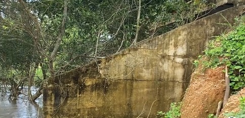 Intervienen puente