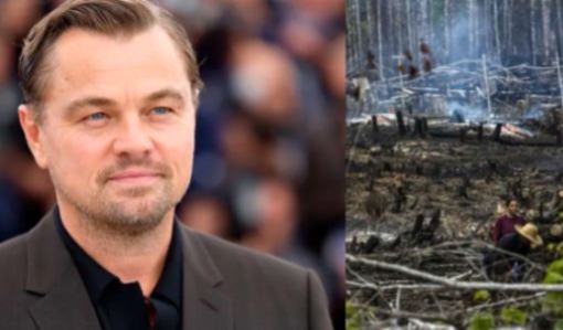 Se hundió proyecto de ley que apoyaba Leonardo DiCaprio en Colombia