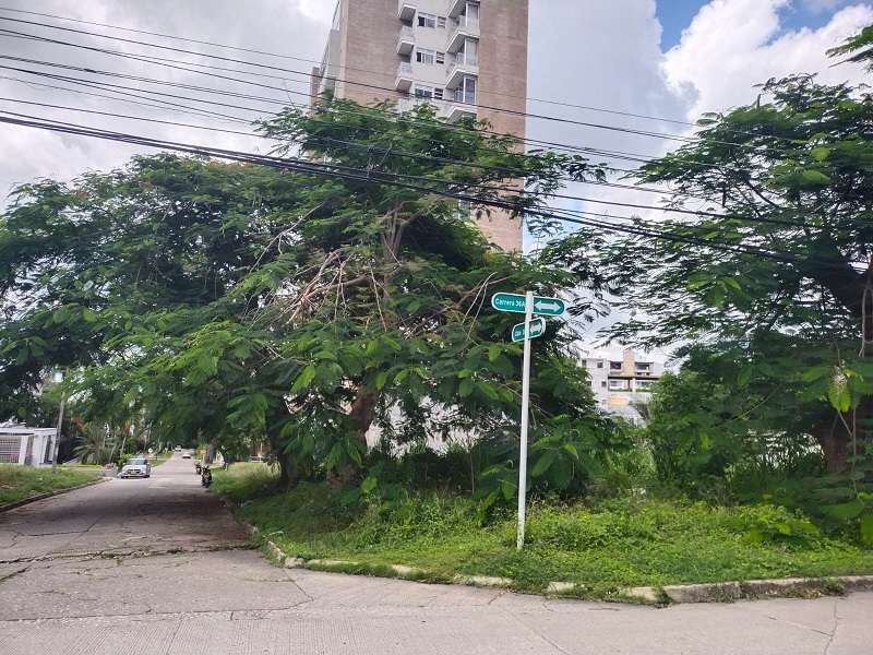 Lotes enmontados generan inseguridad